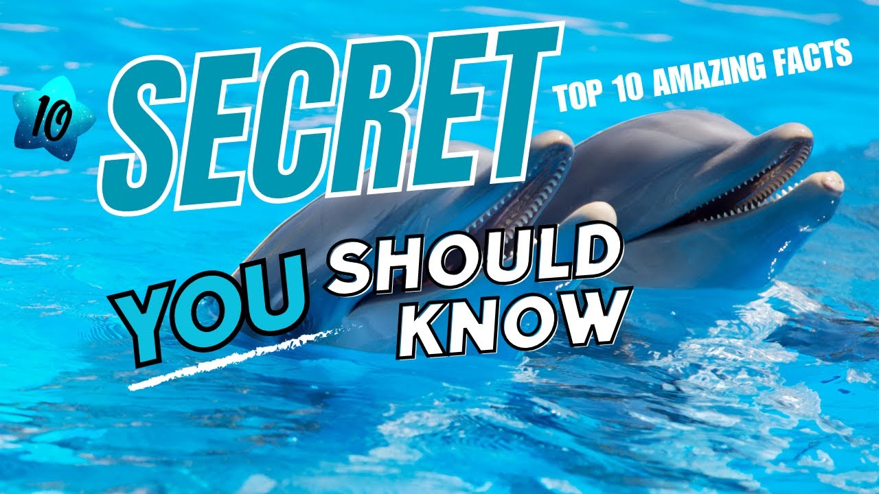 Top 10 Facts About Dolphins You Never Knew #shorts #trending #viral # ...