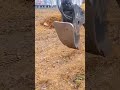 Tree root removal with heavy equipment process #farming #machinery