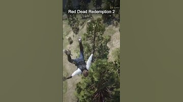 Red Dead Redemption 2 emp.dll hatası