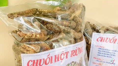 Chuối hột rừng chuẩn Tây Bắc nhiều công dụng