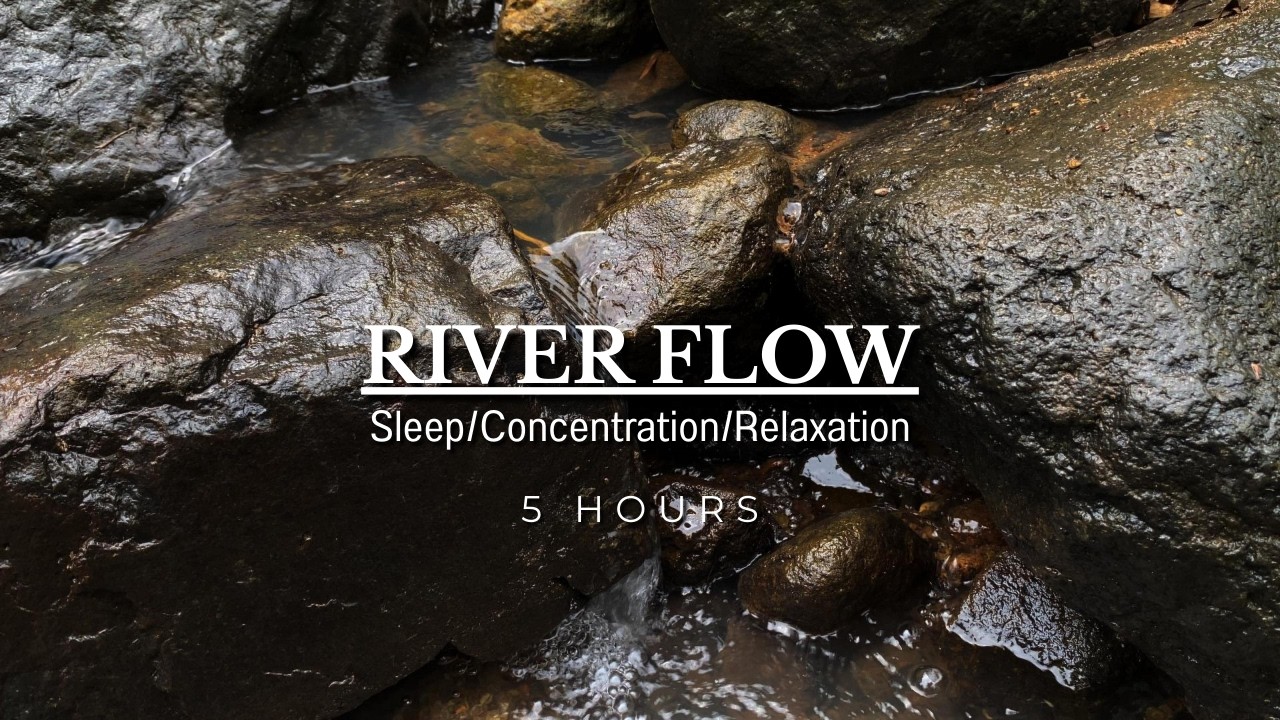River Flow | ASMR sound of clear water flowing in the forest | Sleep/Concentration/Relaxation