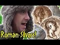 Metal Detecting Roman Silver Coins