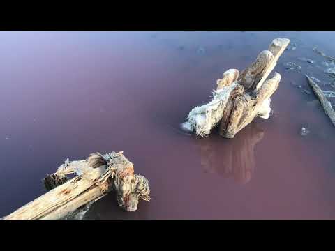 Розовое озеро. Дорога со Счастливцево к озеру