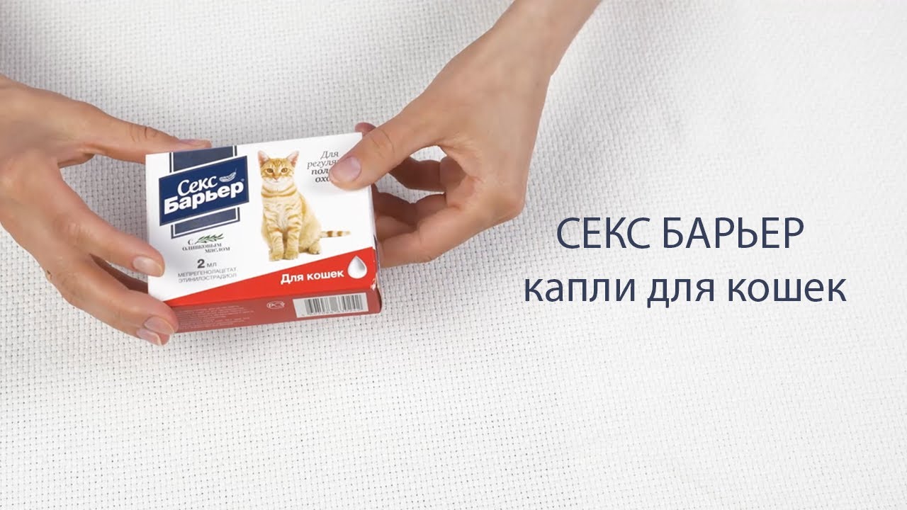 СЕКС БАРЬЕР капли для кошек - YouTube