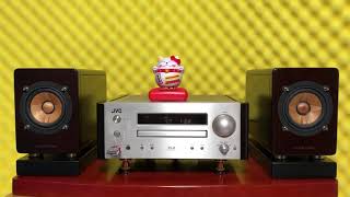 JVC EX HR9 Wood Cone - YouTube