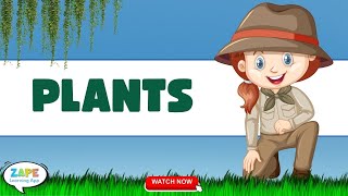 Plants Our Green Friends Grade 1 Science For Kids Learn About Plants