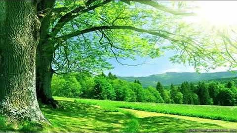 سورة الماعون بصوت الشيخ فارس عباد { صوت جميل جداً }