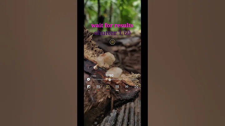 creative photography click tips and tricks vivo V50 pro mode #edit #nature