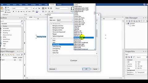 How to add google fonts using wysiwyg web builder