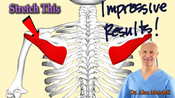 INFRASPINATUS MUSCLE RELEASE - Shoulder Blade/Mid Back Pain Disappears - Dr Alan Mandell, DC