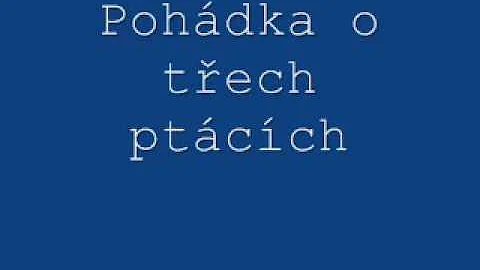 Jak létají ptáci?