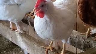 She Had A Lot To Say This Morning