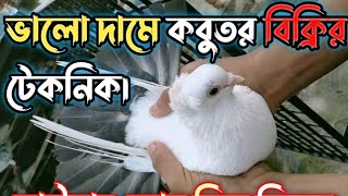 কবুতর বিক্রি করার টেকনিক | ভালো দামে কবুতর বিক্রি করুন | কবুতর বিক্রিরকৌশল_কবুতর বিক্রি