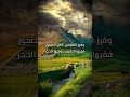 خير الكلام قليل الحروف كثير القطوف