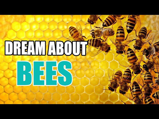 Dreaming of Bees: Meaning & Symbolism of Bee Dreams