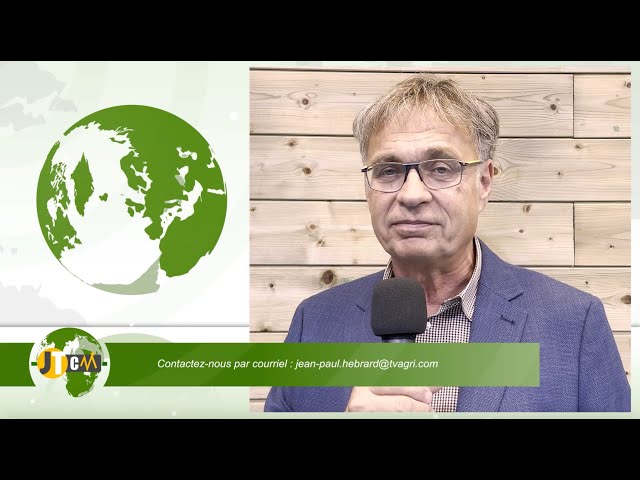JTCM - La production française d’oléagineux rebondit malgré une baisse des surfaces ! - 10/10/2025