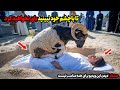 عذاب وحشتناک خداوند برای زن مسلمان در روز عید قربان نازل شد همه را شوکه کرد عذاب وحشتناک خداوند برای زن مسلمان در روز عید قربان نازل شد همه را شوکه کرد