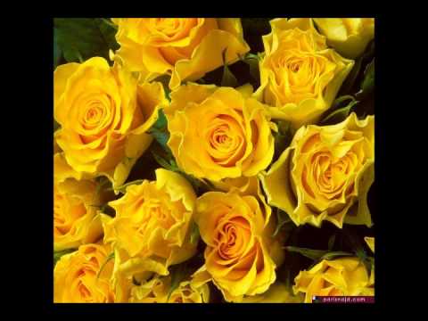 بالهوى قلبي تعل ق Beihdja Rahal