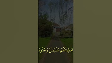 #اكسبلور #القزابري #راحة_نفسية #المصحف #الرحمن #quotes #لايك   سورة نمل