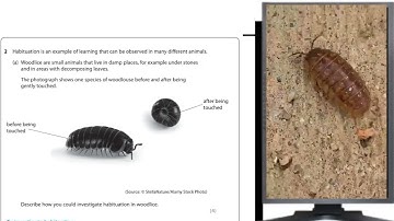 IAL BIOLOGY PAST PAPER 6 2024 JUNE 