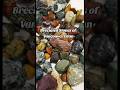 Breciated Stones of Vancouver Island: Dallasite, Serpentine &amp; Rare Coast #FYP #vancouverisland #BC