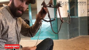 How to attach rein chains to your bridle | Developing & Demystifying the Bridle Horse Series