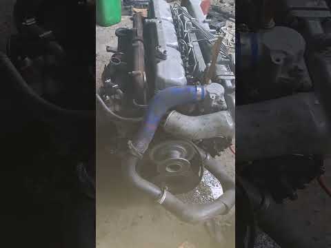 man d0826  на Хтз💪💪💪 230л.с