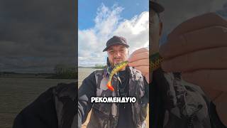 Секретная приманка на хищника
