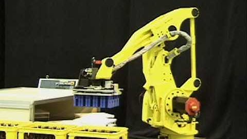 Model CP420 Case Packing Robot Video by Automated Cells and Equipment