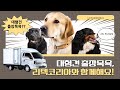 대형견 출장목욕 업체정리 🐶💦목욕하자~댕댕이친구들