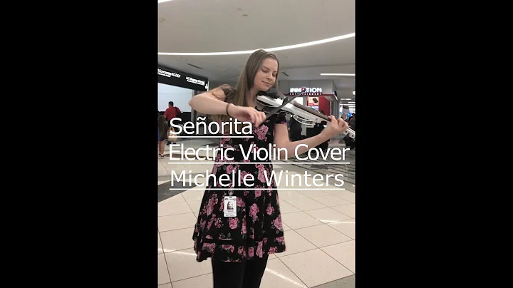 Seorita by Shawn Mendes & Camila Cabello Electric ...