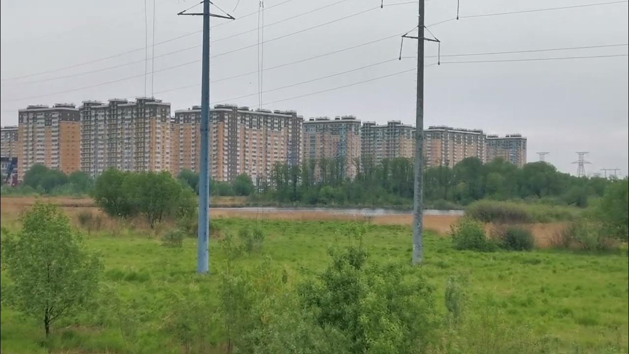 После дождя.. озон... хлорофилл... - YouTube