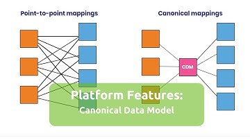 Canonical Data model (CDM) (NL)