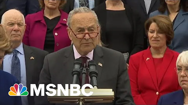 Schumer Vows To Hold Senate Vote On Codifying Roe v. Wade