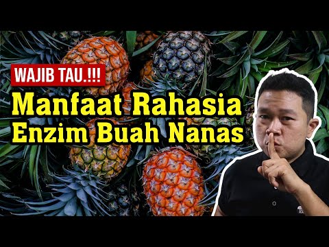 Video: Apakah enzim yang terdapat dalam kacang?