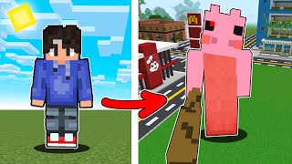 I became CURSED PEPPA PIGGY in Minecraft