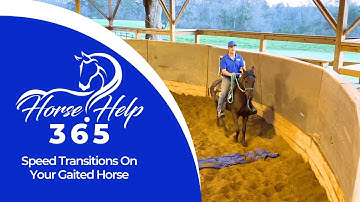 Speed Transitions On Your Gaited Horse | Horse Help - Michael Gascon