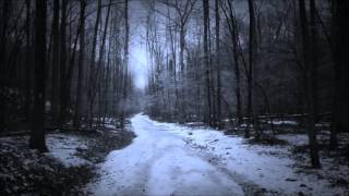Miniatura de "Amorphis - Dark Path"