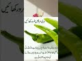ہری مرچ کے حیرت انگیز فوائد