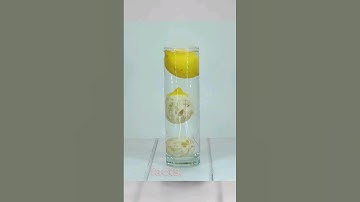 Why Lemons floats but limes sinks? #lemon #lime #lemonvslime #fact