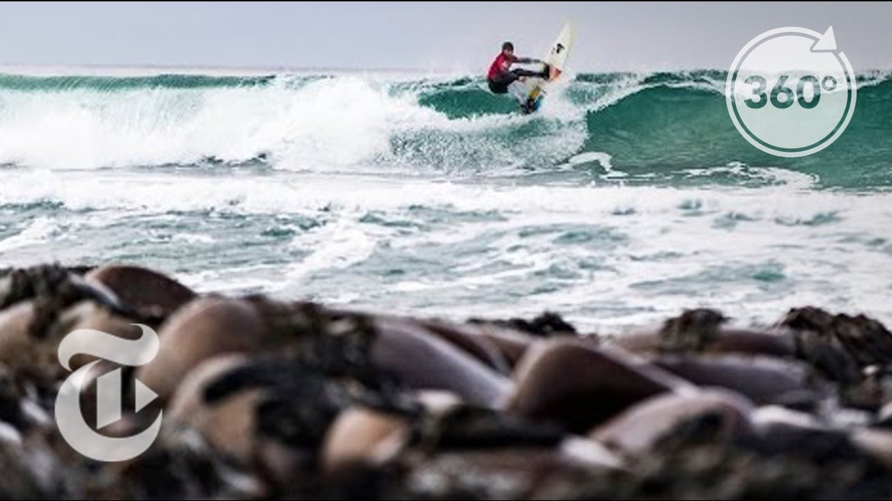 On an Arctic Surf Beach | The Daily 360 | The New York Times nytimes.com spelling bee