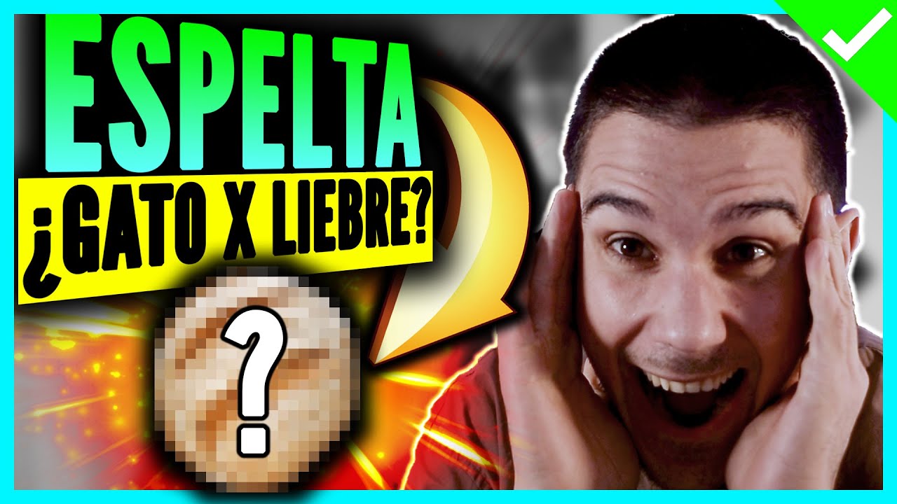 ESPELTA: Descubre sus *PROPIEDADES y BENEFICIOS* ⭐ ¿Qué DIFERENCIAS hay con el TRIGO? 🥖