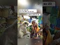 Shopping Mall Vs Zomato emotional.#shorts #ytshorts #couplegoals #emotional #quotes #sadstatus
