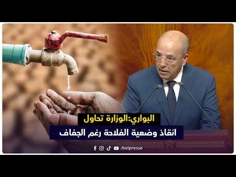 البواري الوزارة تحاول انقاذ وضعية الفلاحة رغم الجفاف