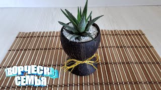 Оригинальный подарок своими руками из кокоса. Рукоделие. Поделки✔️Planter DIY