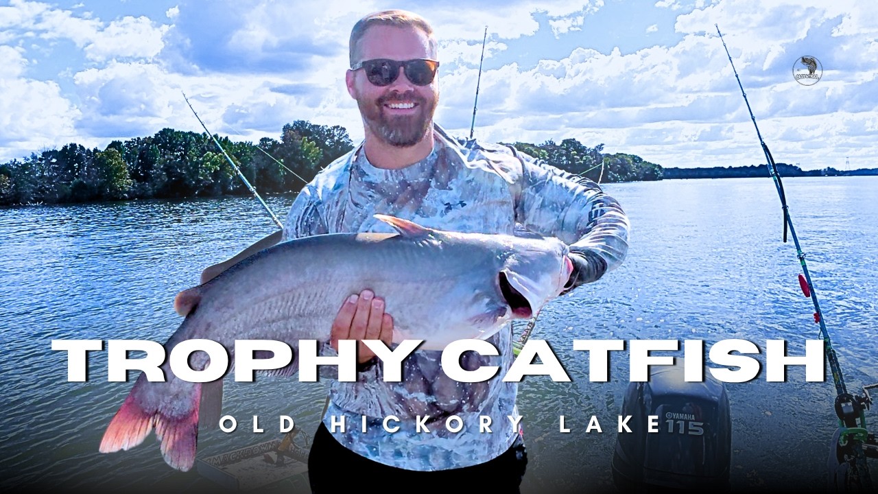 We Caught a Tennessee TROPHY BLUE CATFISH on Old Hickory Lake