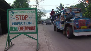 Illegal Logging: Who