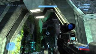 Celebrity Why you shouldn't T-bag - Halo 3 Spawn trap Profile
