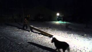 Backyard jib sesh