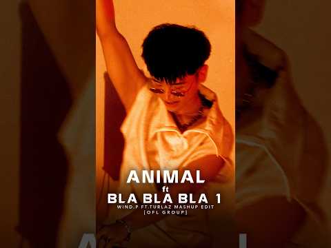 ANIMAL ft. BLA BLA BLA - WIND.P x TURLAZ MASHUP EDIT [OFL] #shorts #remix #windp #animal #blablabla